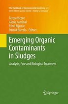 Emerging Organic Contaminants in Sludges