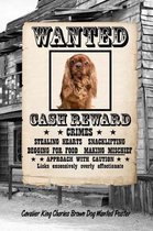Cavalier King Charles Brown Dog Wanted Poster
