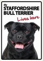 Staffie Lives Here