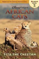 African Cats Sita the Cheetah