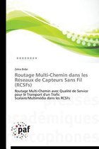 Routage Multi-Chemin Dans Les R seaux de Capteurs Sans Fil (Rcsfs)