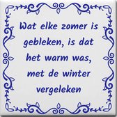 Wijsheden tegeltje met spreuk over Weer: Wat elke zomer is gebleken is dat het warm was met de winter vergeleken