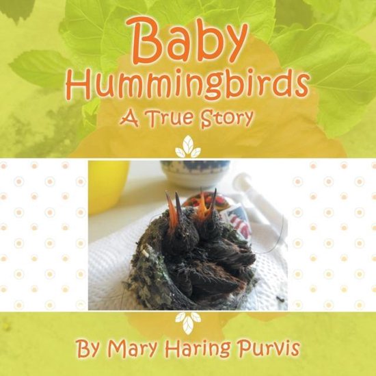 Baby Hummingbirds - cover