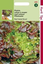 Hortitops Zaden - Red Salad Bowl - Rode Eikenbladsla