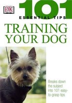 Training Your Dog