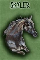 Watercolor Mustang Skyler