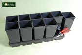 10 Diepe Vierkante Palmpotten 11x11x21 (2 liter) incl. Tray