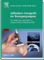 Aufbaukurs Sonografie der Bewegungsorgane