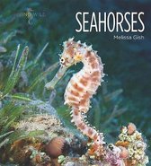 Seahorses
