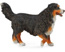 COLLECTA Figurine - Berner Sennenhond - (L) - Honden - Handgeschilderd - Miniatuur