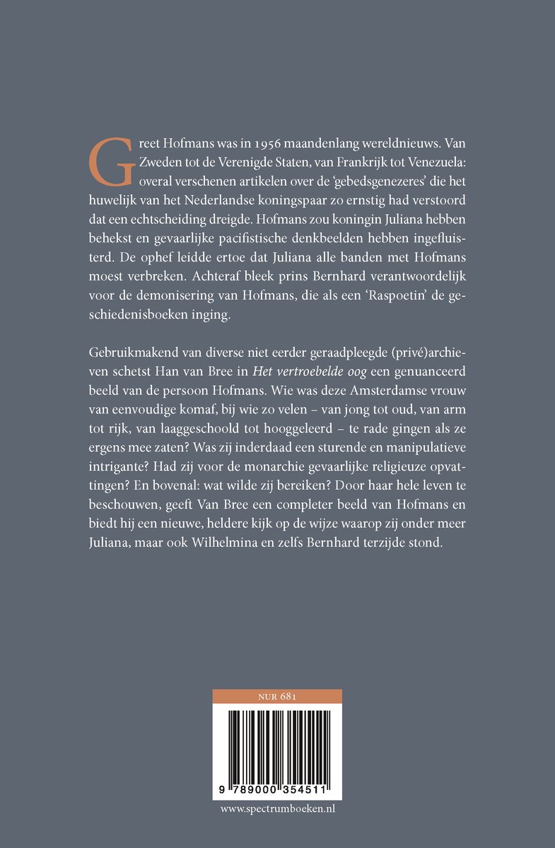 Het vertroebelde oog - back cover