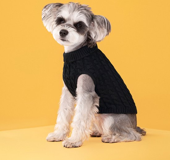 Pets Place Amsterdam - Heeft mijn hond kleding nodig? Hieronder staan 6