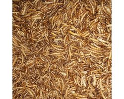 Meelwormen - Meelwormen 1000 ml - Kip - Versnaperingen - Andere dieren - Vogelvoer