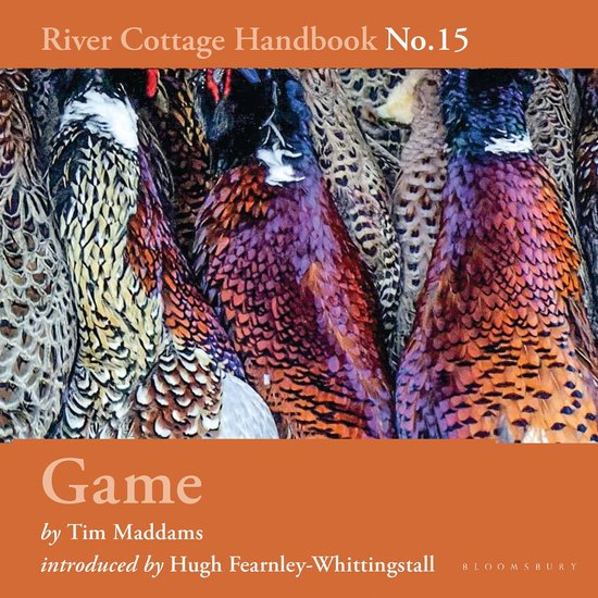 Game - cover