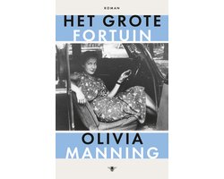 Omslag van Het grote fortuin