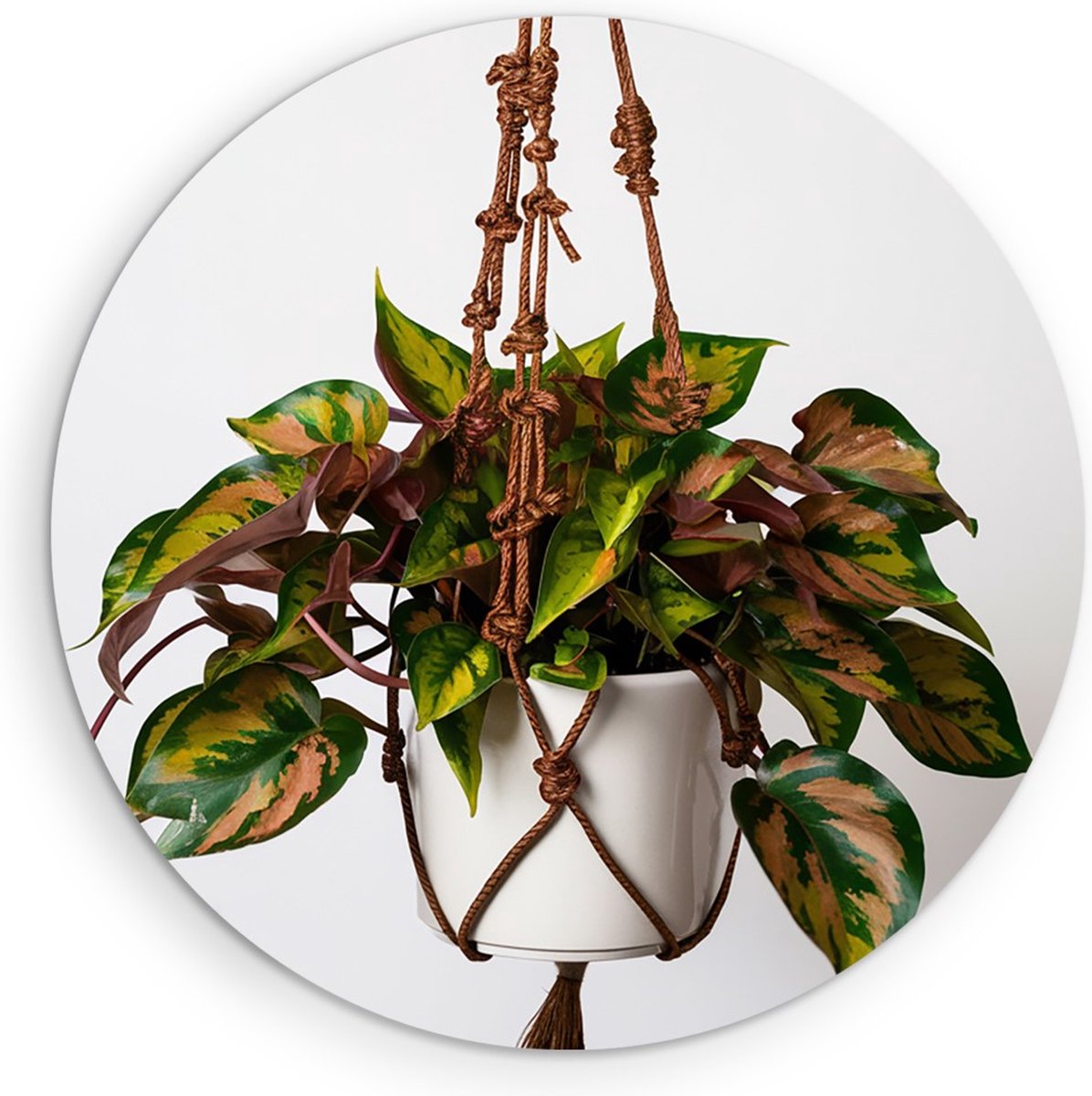 Saammp Muurcirkel Hout - Hangplant met Kleurrijke Bladeren - Natuur - Abstract - Ø 80 - Wandcirkel - Wanddecoratie Cirkel - Muurdecoratie Woonkamer - Kantoor Decoratie