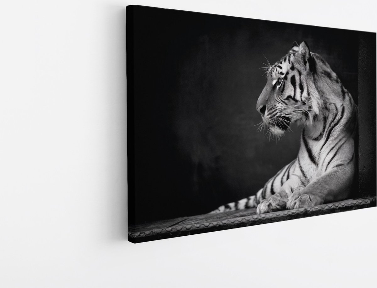 Saammp Canvas Schilderij - Tijger - Natuur - Dieren - Zwart-Wit - 60x40 - Foto op canvas - Wanddecoratie - muurdecoratie Woonkamer - Slaapkamer decoratie - Canvas Print Multicolor