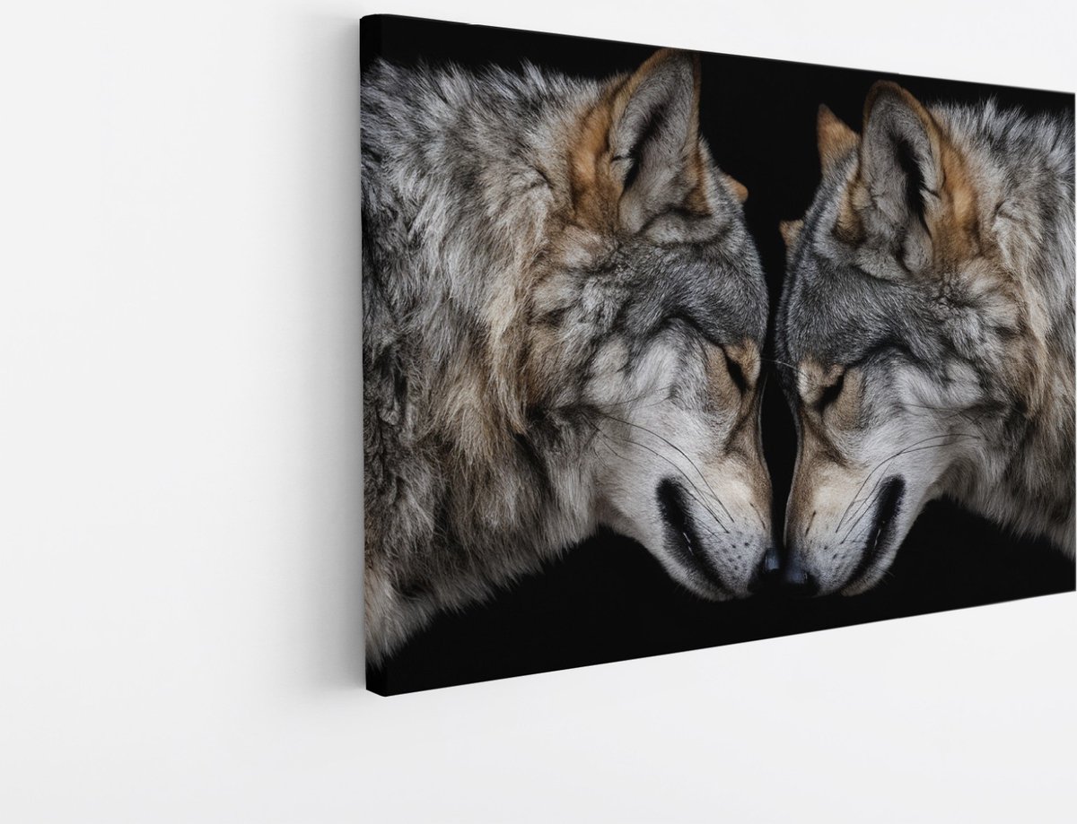 Saammp Canvas Schilderij - 2 Wolfen - Dieren - Natuur - 45x30 - Foto op canvas - Wanddecoratie - muurdecoratie Woonkamer - Slaapkamer decoratie - Canvas Print Multicolor