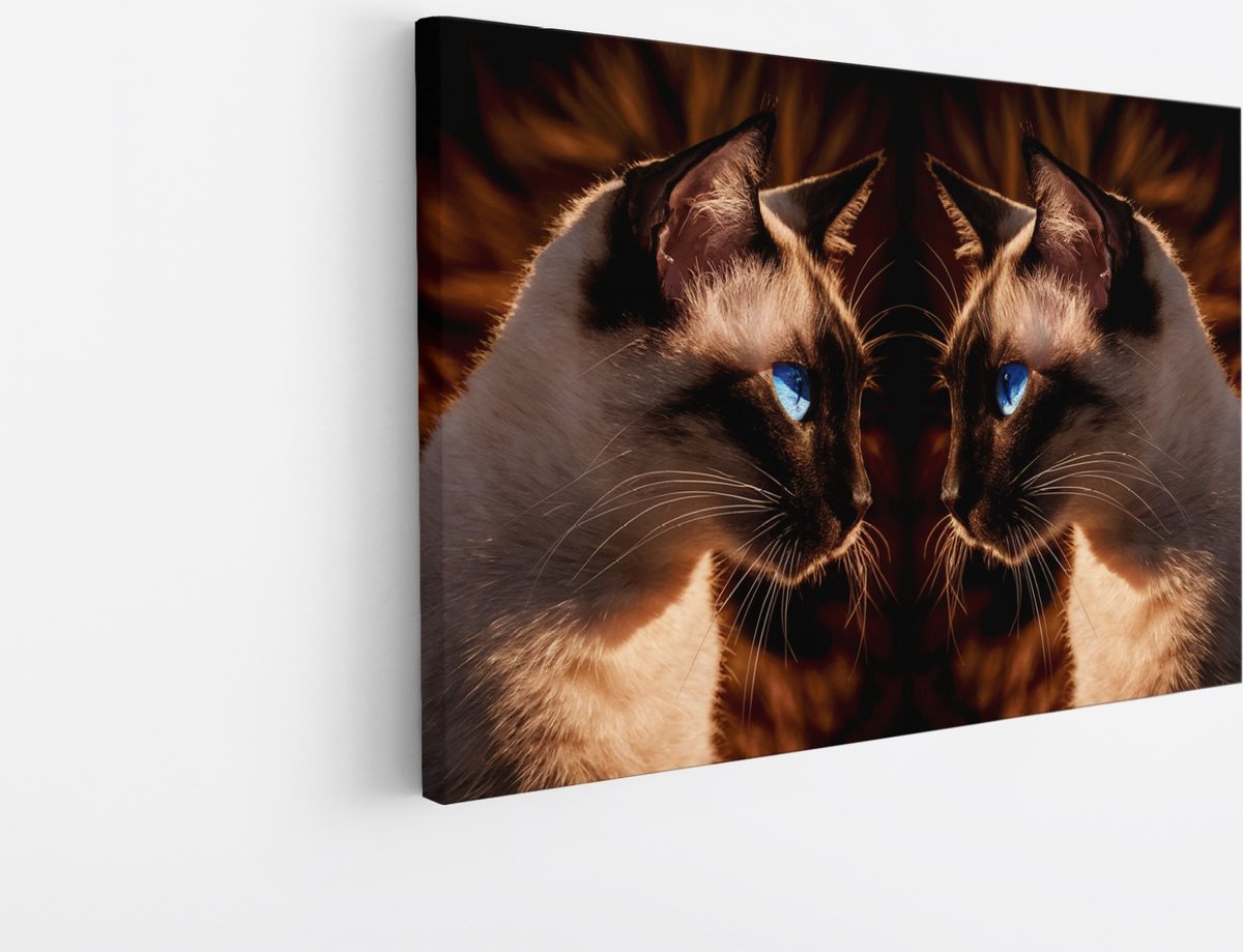 Saammp Canvas Schilderij - 2 Poezen - Natuur - Dieren - 120x80 - Foto op canvas - Wanddecoratie - Muurdecoratie Woonkamer - Slaapkamer decoratie - Canvas Print Multicolor