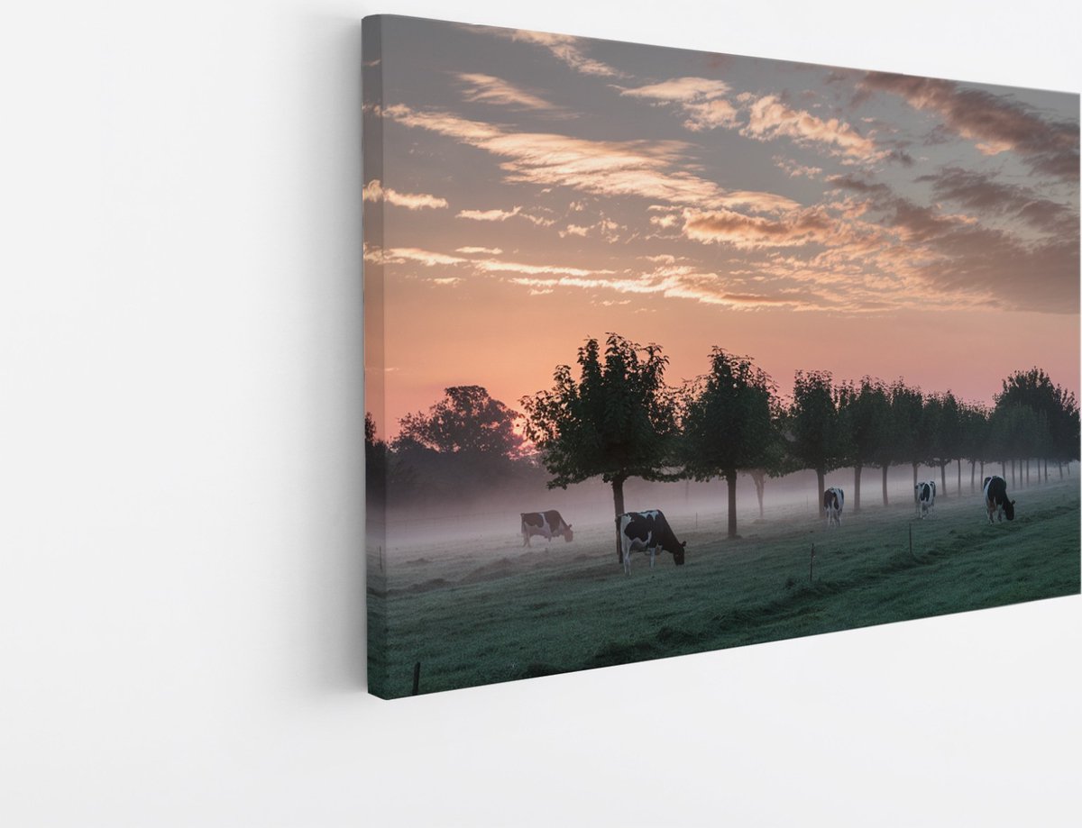 Saammp Canvas Schilderij - Koeien met mooie lucht - Natuur - nederland - 45x30 - Foto op canvas - Wanddecoratie - Muurdecoratie Woonkamer - Slaapkamer decoratie - Canvas Print Multicolor