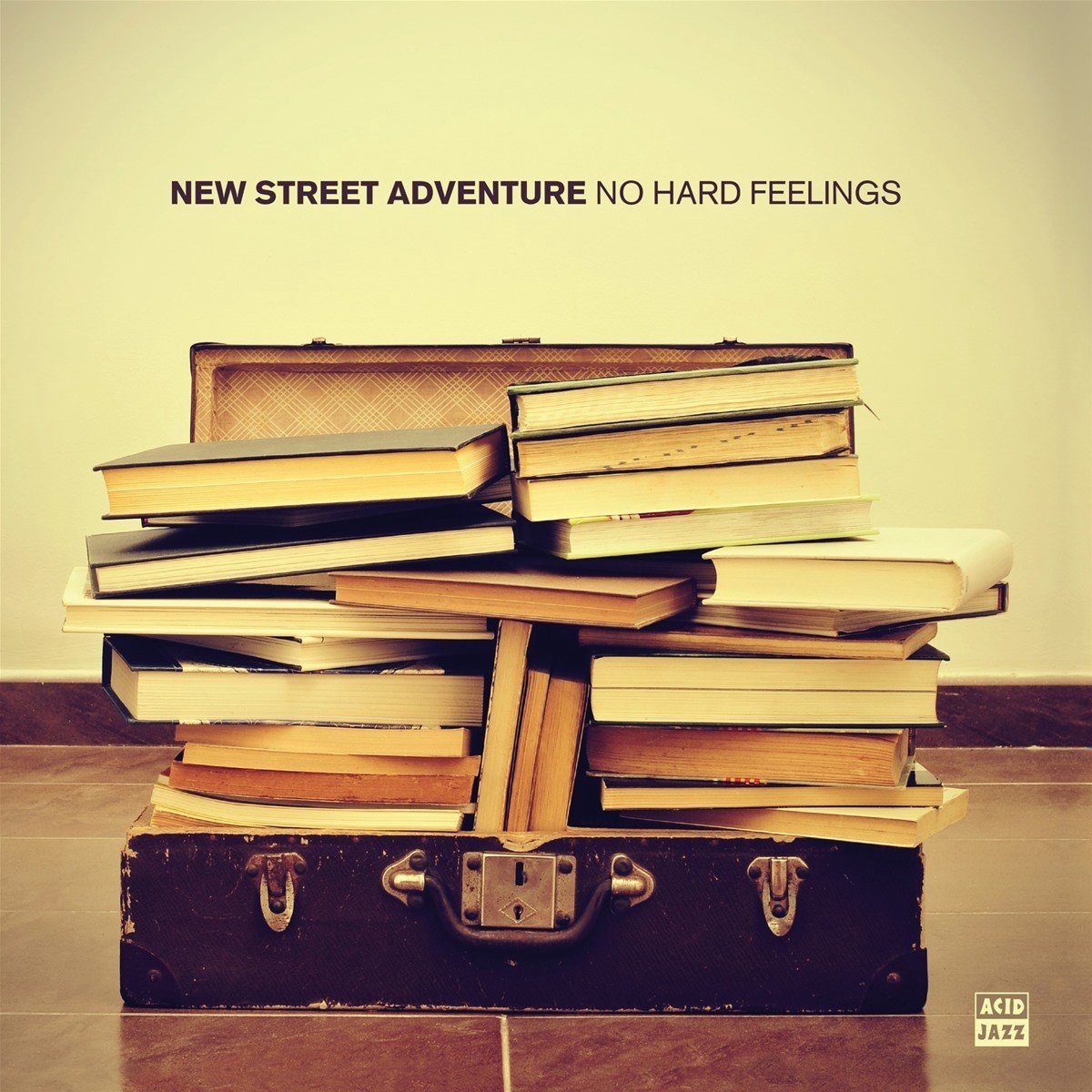 New Street Adventure - No Hard Feelings (LP)