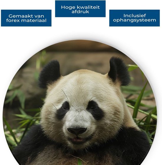 Saammp Forex Muurcirkel - Panda tussen het gras - Natuur - Dieren - Ø 90 - Wandcirkel - Wanddecoratie Cirkel - Muurdecoratie Woonkamer - Slaapkamer decoratie - Rond Schilderij