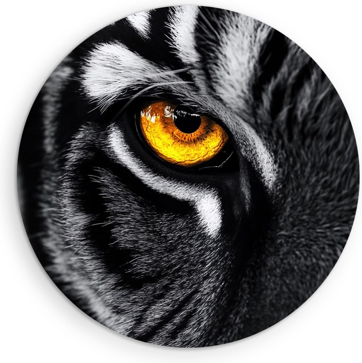 Saammp Muurcirkel Hout - Tijger met oranje oog - Natuur - Dieren - Ø 50 - Wandcirkel - Wanddecoratie Cirkel - muurdecoratie Woonkamer - Slaapkamer decoratie - Rond Schilderij