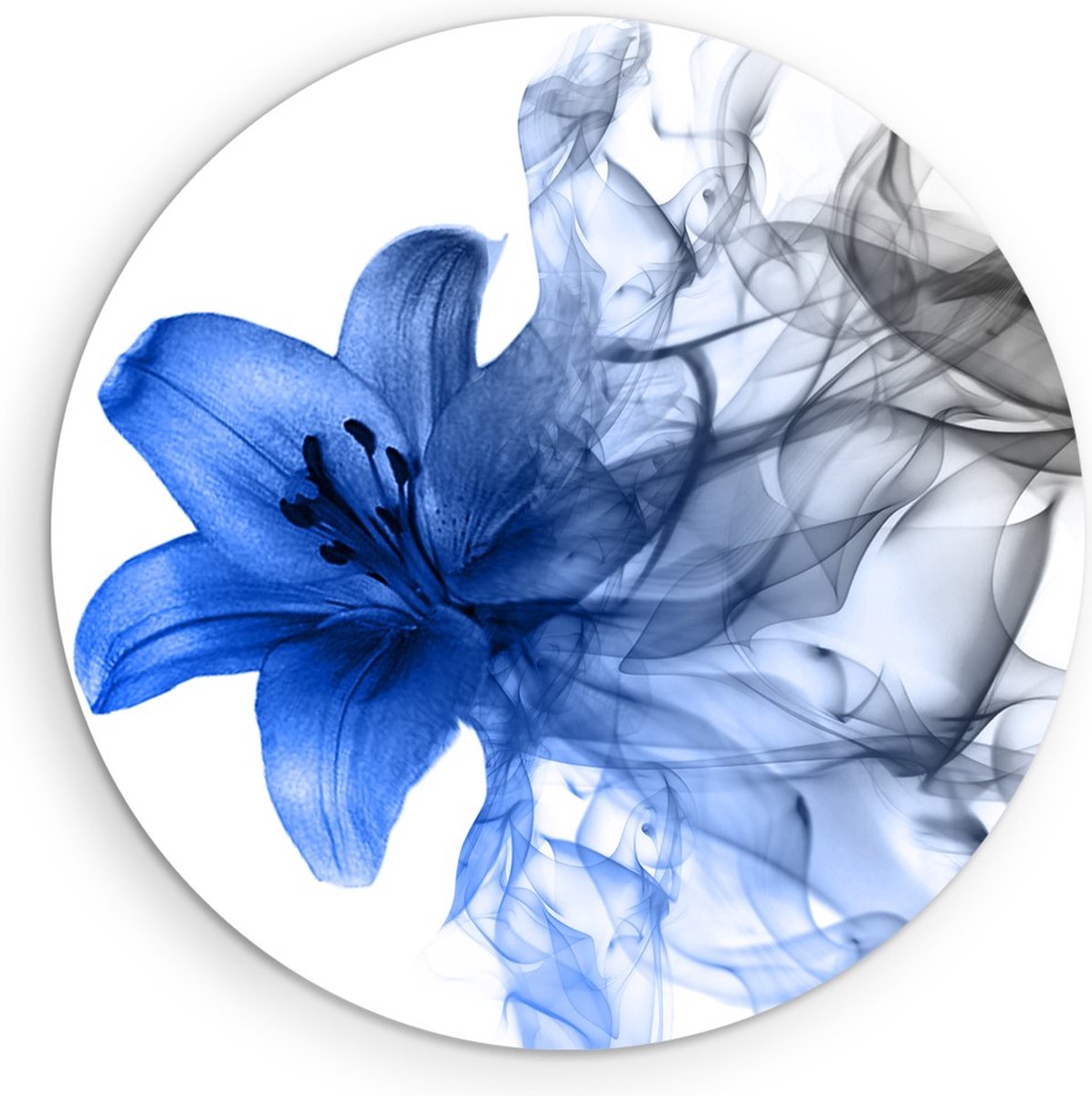 Saammp Forex Muurcirkel - Blauwe bloem - Natuur - Ø 80 - Wandcirkel - Wanddecoratie Cirkel - Muurdecoratie Woonkamer - Kantoor Decoratie