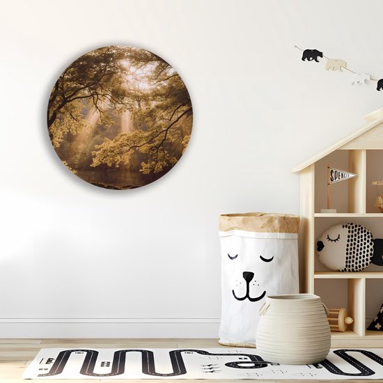 Saammp Wall Circle Bois - Incidence lumineuse - Arbres - Paysage - Nature - Ø 70 - Cercle mural - Décoration murale Cercle - Décoration murale Salon - Décoration chambre - Peinture ronde