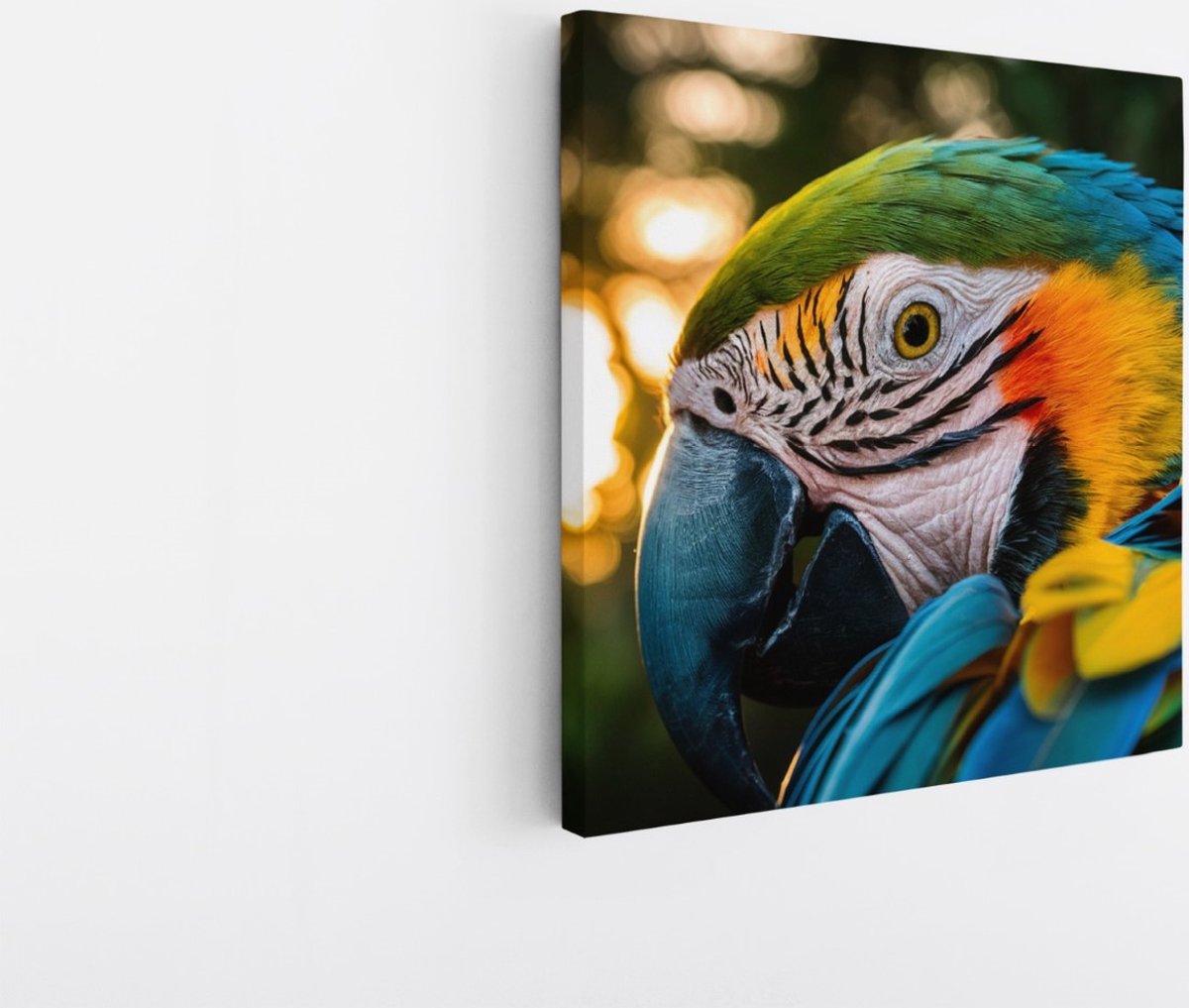 Saammp Canvas Schilderij - Papagaai - Kleurrijk - Natuur - Dieren - 40x40 - Foto op canvas - Wanddecoratie - Muurdecoratie Woonkamer - Slaapkamer decoratie - Canvas Print Multicolor