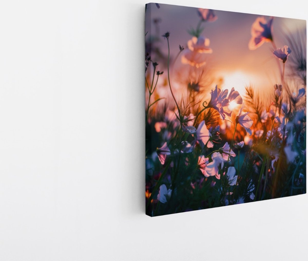 Saammp Canvas Schilderij - Landschap - Bloemen met zonsondergang - Natuur - 100x100 - Foto op canvas - Wanddecoratie - Muurdecoratie Woonkamer - Slaapkamer decoratie - Canvas Print Multicolor