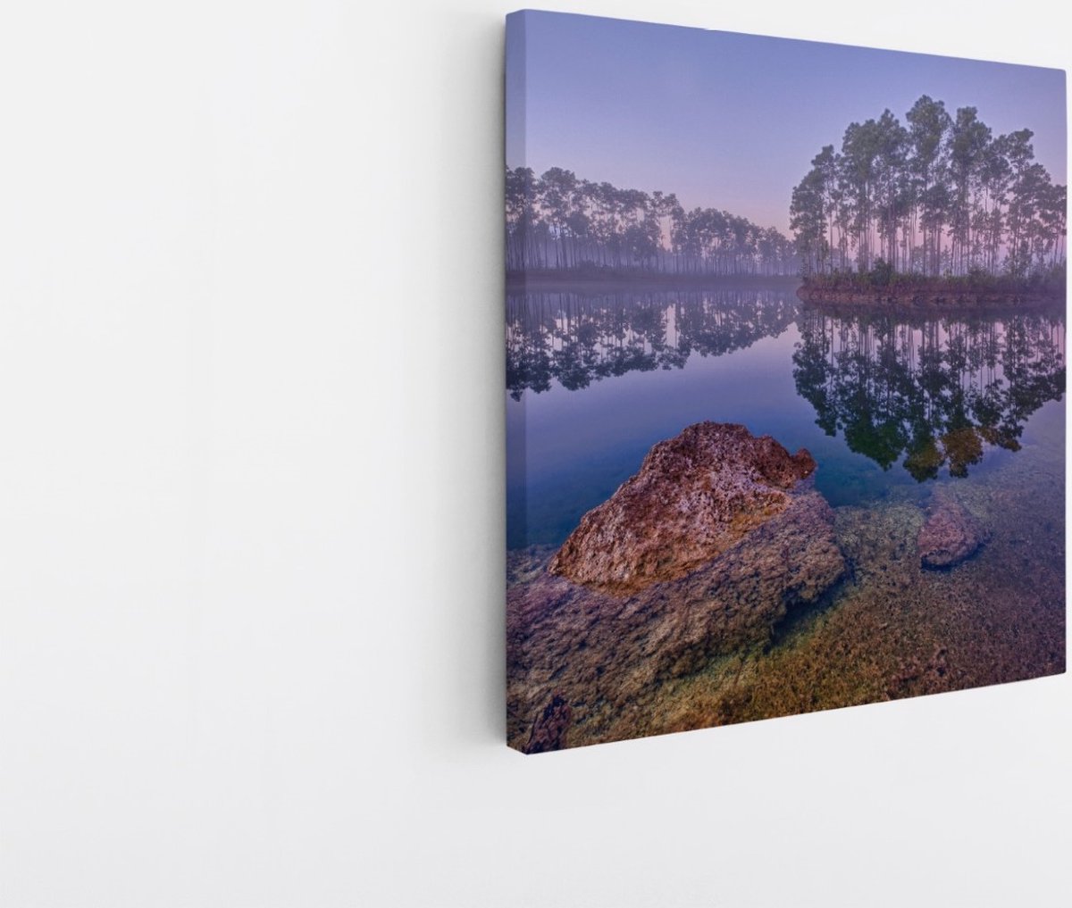 Saammp Canvas Schilderij -Bos - Zonlicht - Zomer - Landschap - Natuur - 60x60 - Foto op canvas - Wanddecoratie - Muurdecoratie Woonkamer - Slaapkamer decoratie - Canvas Print