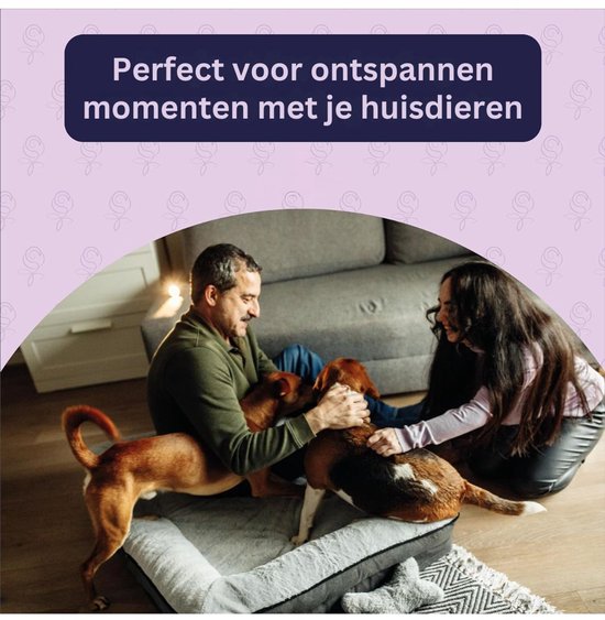 Panier pour chien ApexArte® Human - Grijs
