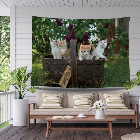 Ulticool - Chat Nature Chats dans un panier pour chat - Affiche murale - 200x150 cm - Groot tapisserie - Affiche de jardin Tapisserie