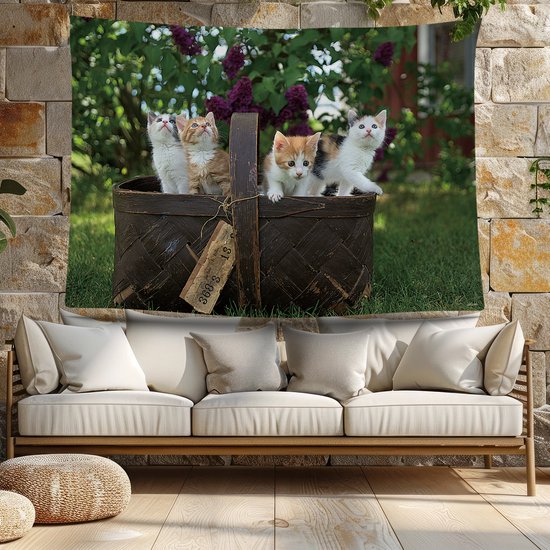 Ulticool - Chat Nature Chats dans un panier pour chat - Affiche murale - 200x150 cm - Groot tapisserie - Affiche de jardin Tapisserie