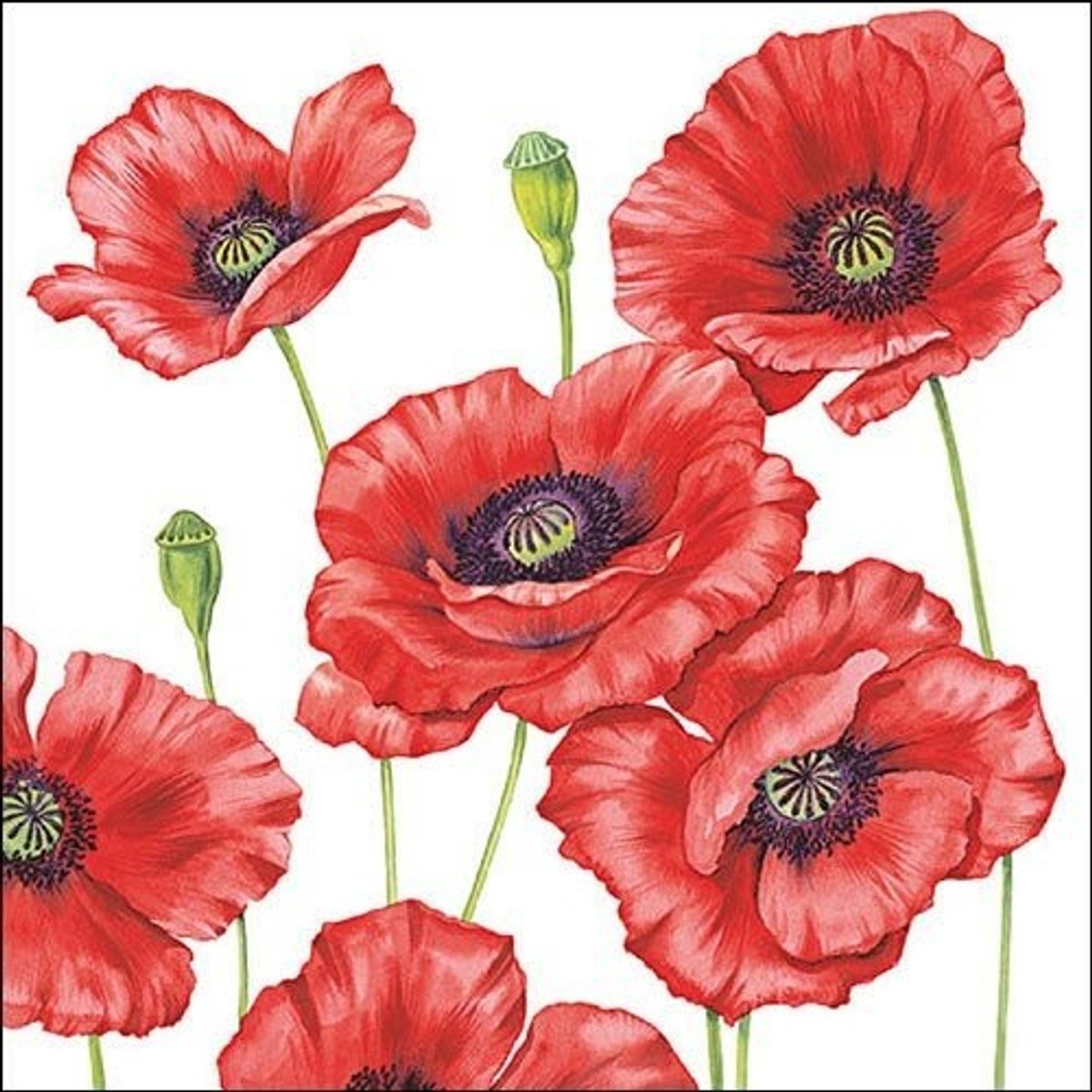 Ambiente - Lunch servetten - Romantic Poppy