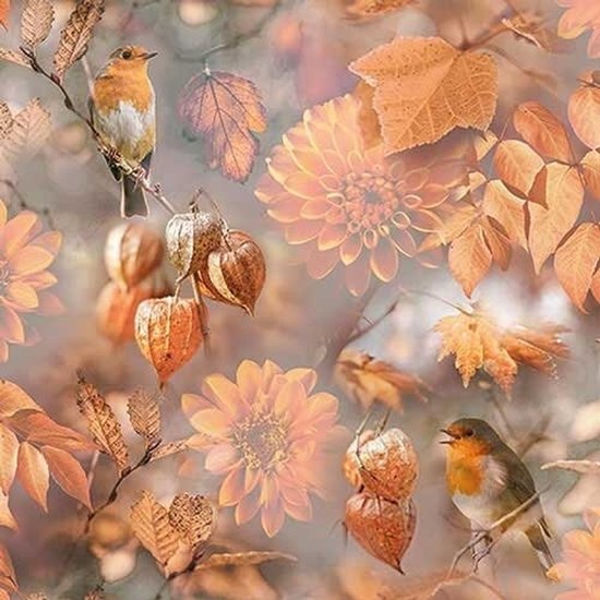 Foto: 