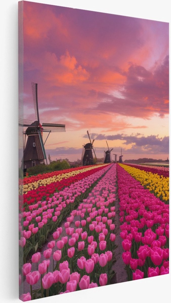 Saammp Canvas Schilderij - Nederland - Bloemen - Tulpen - Molen - Landschap - Natuur - 20x30 - Foto op canvas - Wanddecoratie - Muurdecoratie Woonkamer - Slaapkamer decoratie - Canvas Print Multicolor