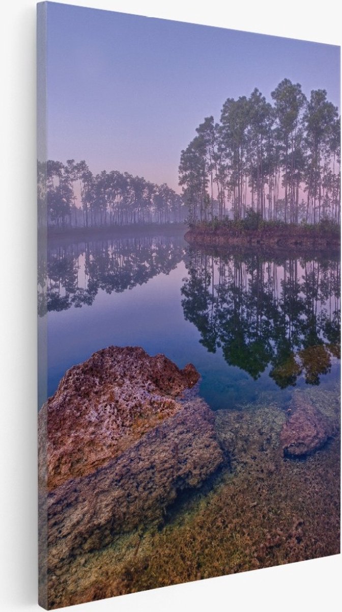 Saammp Canvas Schilderij -Bos - Zonlicht - Zomer - Landschap - Natuur - 60x90 - Foto op canvas - Wanddecoratie - Muurdecoratie Woonkamer - Slaapkamer decoratie - Canvas Print Multicolor