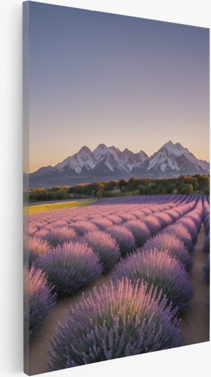 Saammp Canvas Schilderij - Lavendelveld met bergachtig landschap - Natuur - 50x70 - Foto op canvas - Wanddecoratie - Muurdecoratie Woonkamer - Slaapkamer decoratie - Canvas Print Multicolor