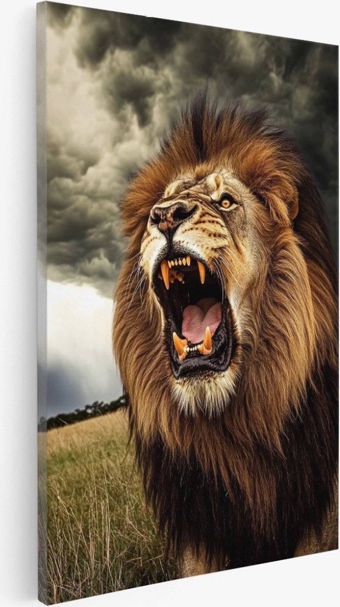 Saammp Canvas Schilderij - Brullende Leeuw tijdens storm - Dieren - Natuur - 50x70 - Foto op canvas - Wanddecoratie - Muurdecoratie Woonkamer - Slaapkamer decoratie - Canvas Print Multicolor