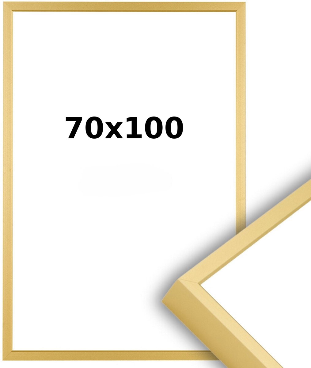 Lichtendonk Aluminium Wissellijst 70 x 100 Mat Champagne Goud - Ontspiegeld Acrylite - Professional