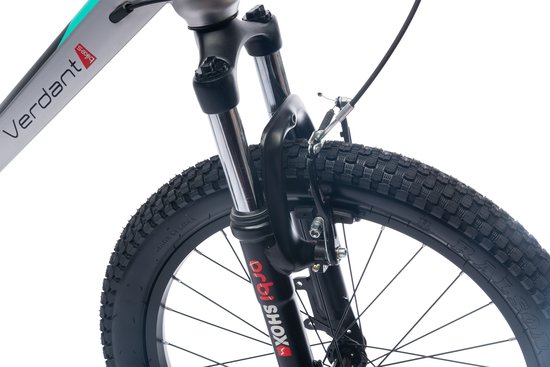 Verdant Kinderfiets voor jongens van 6 tot 10 jaar, 20 inch, 6 versnellingen, Shimano kinderfiets, verstelbare hoogte (Zilver) van Verdant — afbeelding 4