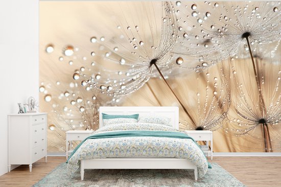 Behang - Fotobehang Paardenbloem - Abstract - Natuur - Beige - Breedte 400 cm x hoogte 300 cm