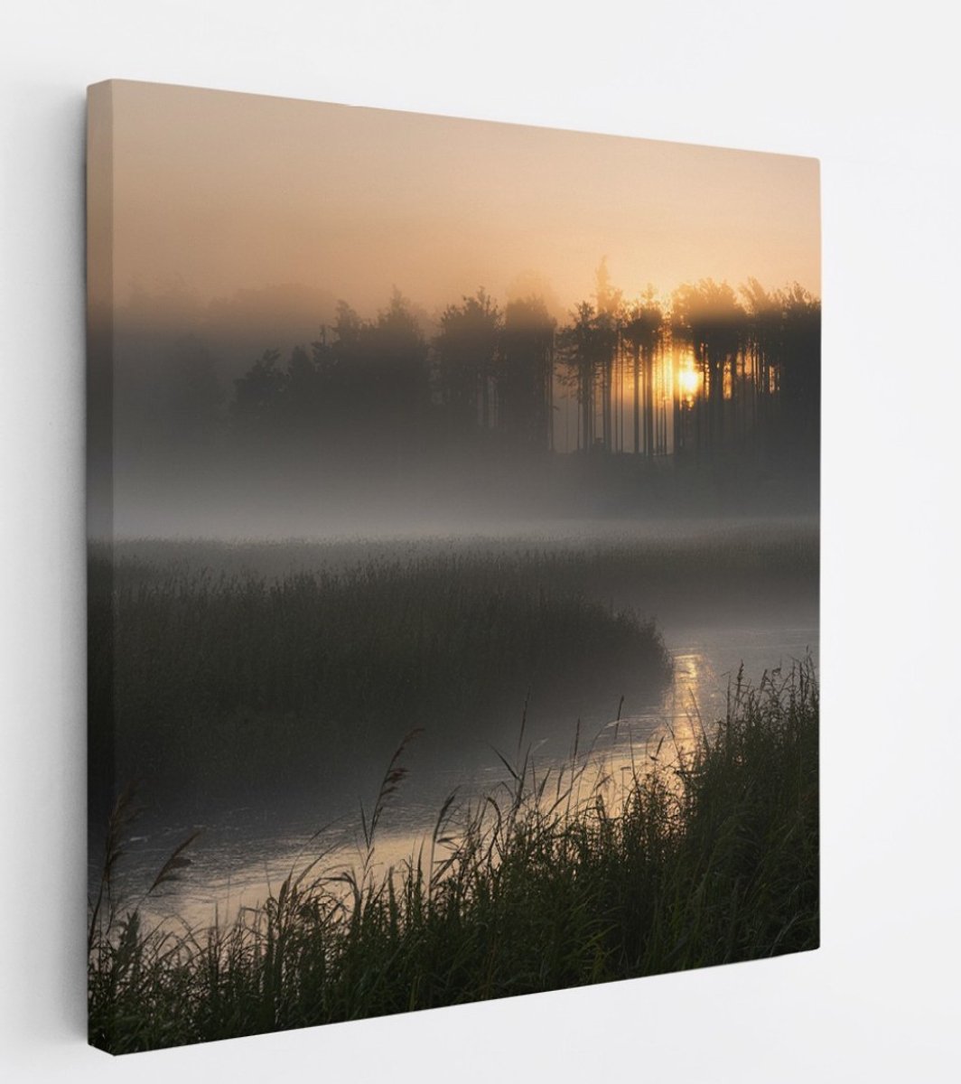 Saammp Canvas Schilderij - Nederland - Sloot - Zonsondergang - Landschap - Natuur - 20x20 - Foto op canvas - Wanddecoratie - Muurdecoratie Woonkamer - Slaapkamer decoratie - Canvas Print Multicolor