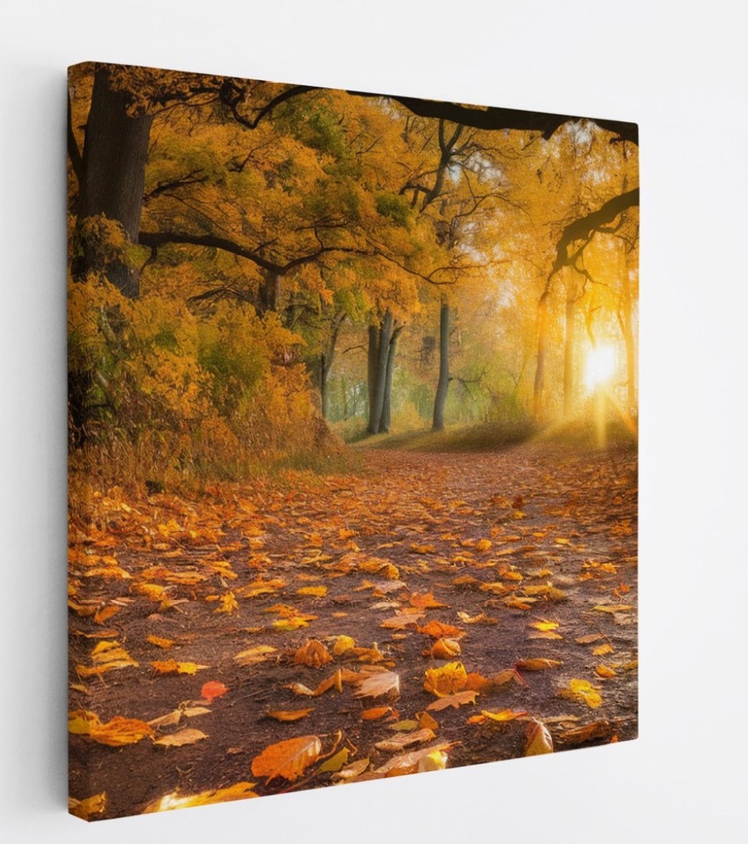 Saammp Canvas Schilderij - herfst pad - Rustgevend - Landschap - Natuur - 40x40 - Foto op canvas - Wanddecoratie - Muurdecoratie Woonkamer - Slaapkamer decoratie - Canvas Print Multicolor