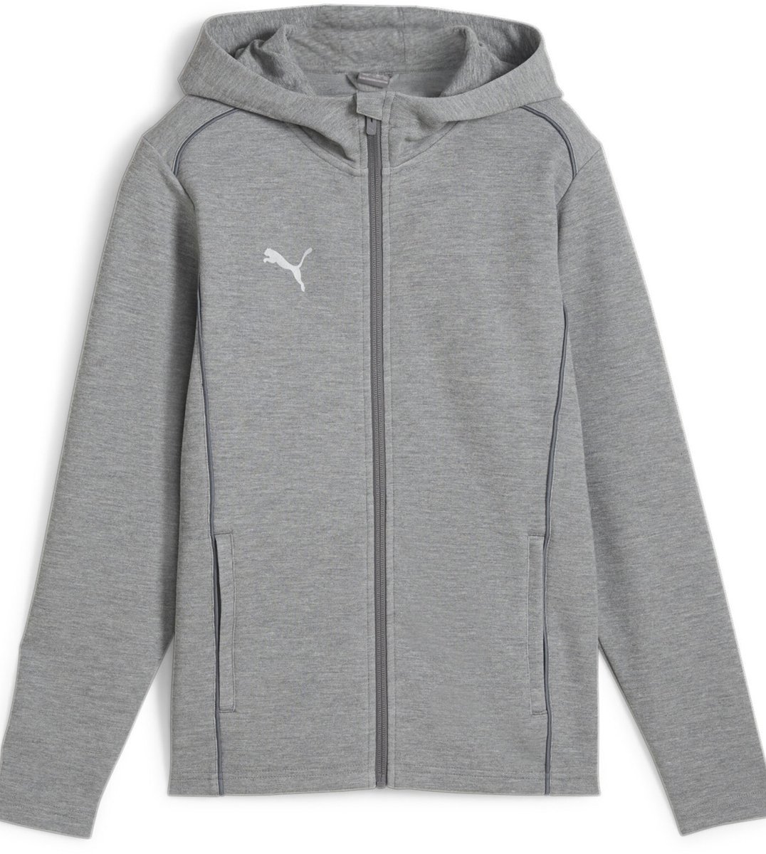 Puma Jacke teamFINAL Casuals Kapuzensweatjacke Grijs