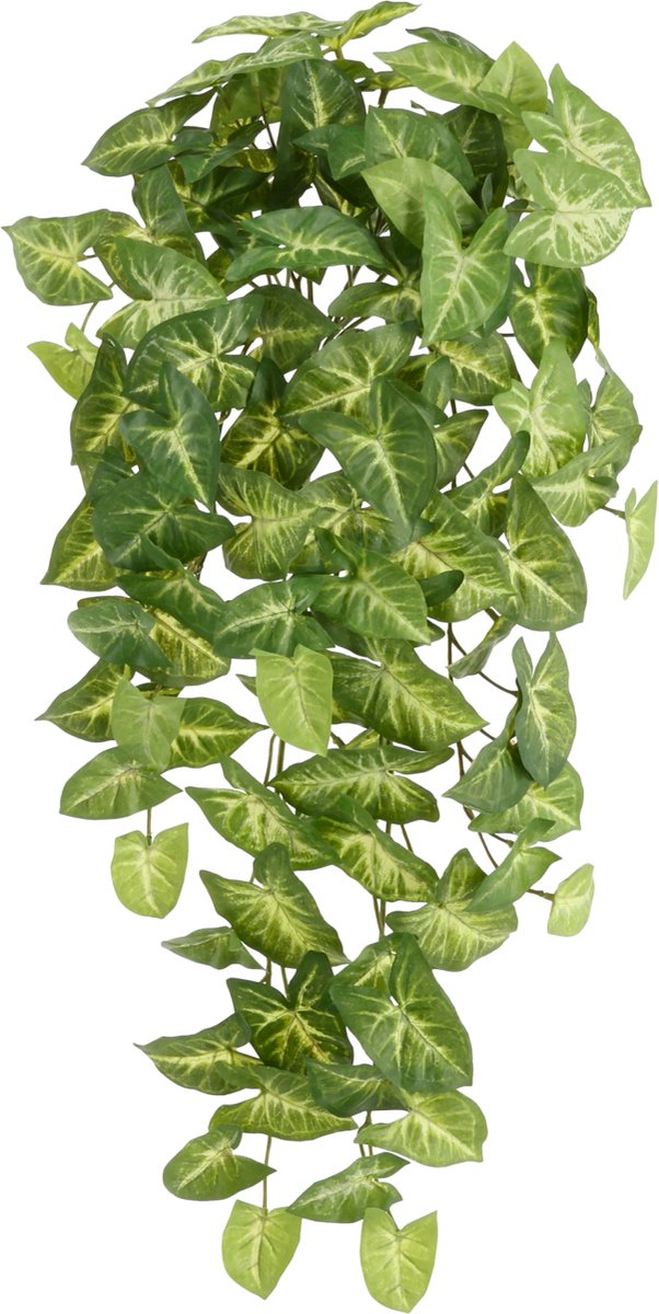 maxifleur Kunstplanten Syngonium Arrow Kunst Hangplant 60cm Groen