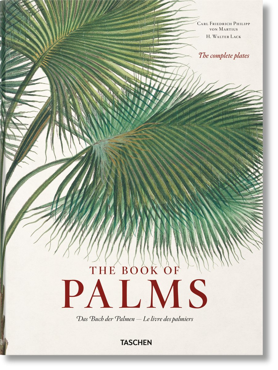 Omslag van Martius. The Book of Palms