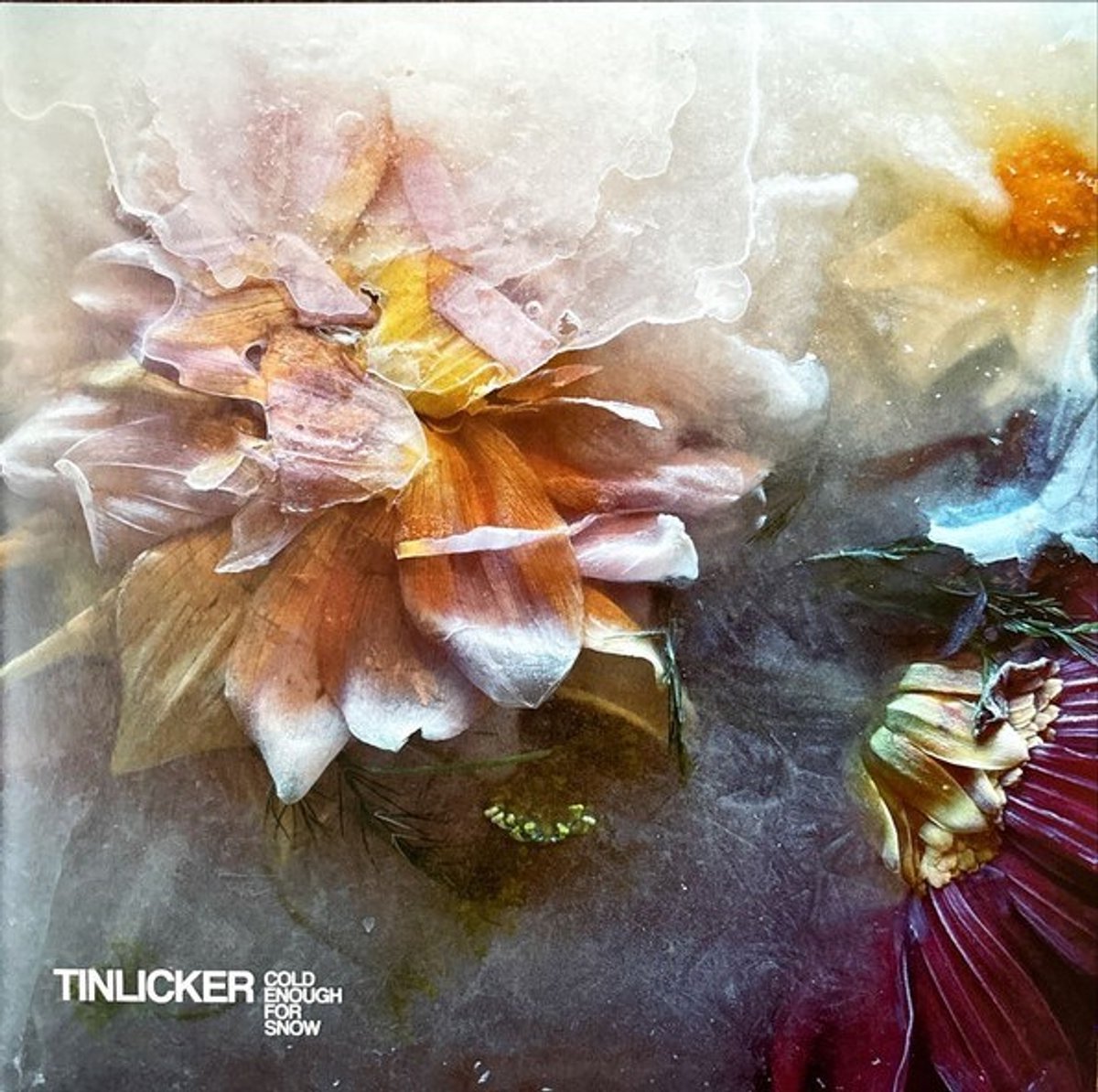 Tinlicker - Cold Enough For Snow (LP) (Coloured Vinyl)